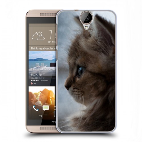 Дизайнерский пластиковый чехол для HTC One E9+ Котята