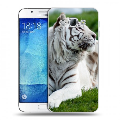 Дизайнерский пластиковый чехол для Samsung Galaxy A8 Тигры