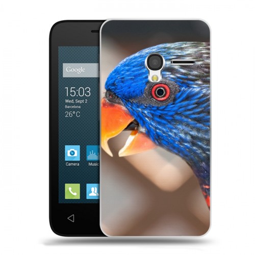 Дизайнерский пластиковый чехол для Alcatel One Touch Pixi 3 (4.5) Попугаи
