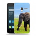 Дизайнерский пластиковый чехол для Alcatel One Touch Pixi 3 (4.5) Слоны