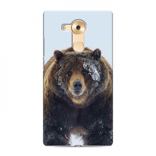 Дизайнерский пластиковый чехол для Huawei Mate 8 Медведь