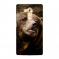 Дизайнерский пластиковый чехол для Huawei Mate 8 Медведи