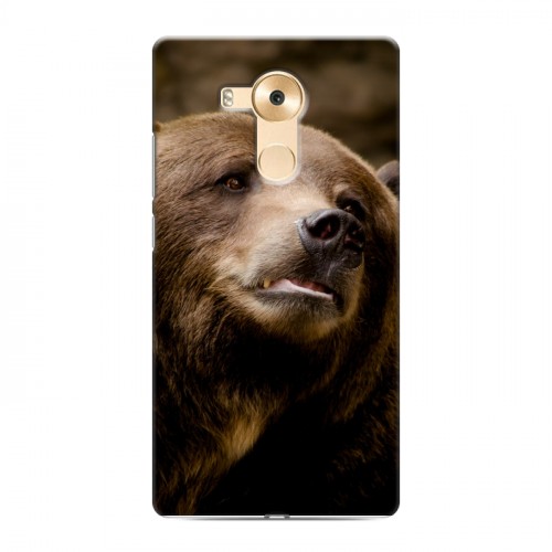 Дизайнерский пластиковый чехол для Huawei Mate 8 Медведи