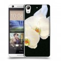 Дизайнерский силиконовый чехол для HTC Desire 626 Орхидеи
