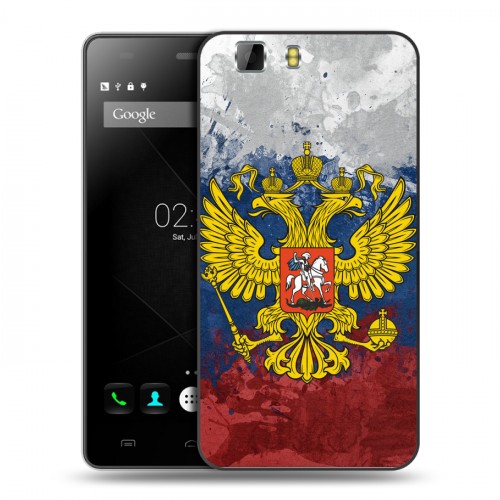 Дизайнерский пластиковый чехол для Doogee X5 Российский флаг и герб