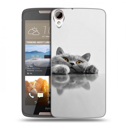 Дизайнерский пластиковый чехол для HTC Desire 828 Коты