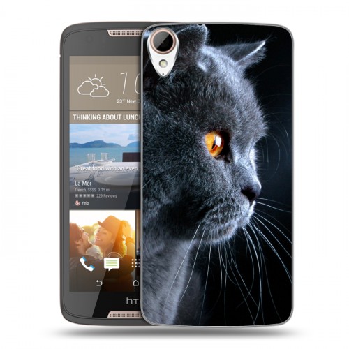 Дизайнерский силиконовый чехол для HTC Desire 828 Кошки
