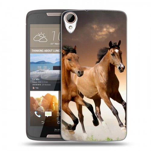 Дизайнерский пластиковый чехол для HTC Desire 828 Лошади