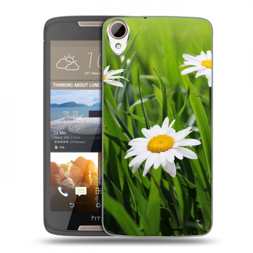 Дизайнерский пластиковый чехол для HTC Desire 828 Ромашки