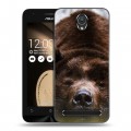 Дизайнерский пластиковый чехол для ASUS ZenFone Go 4.5 Медведи