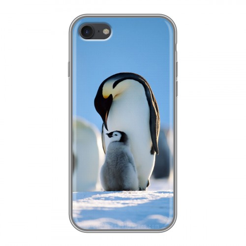 Дизайнерский силиконовый чехол для Iphone 7 Пингвины