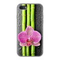 Дизайнерский силиконовый чехол для Iphone 7 Орхидеи
