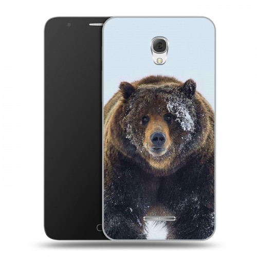 Дизайнерский пластиковый чехол для Alcatel Pop 4 Plus Медведь