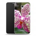 Дизайнерский пластиковый чехол для Alcatel Pop 4 Plus Орхидеи