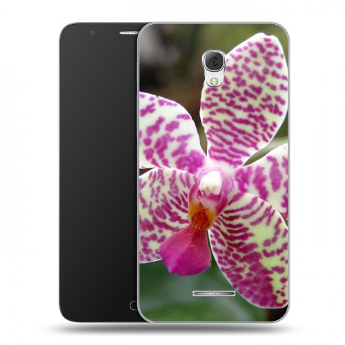 Дизайнерский пластиковый чехол для Alcatel Pop 4 Plus Орхидеи