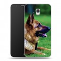 Дизайнерский пластиковый чехол для Alcatel Pop 4 Plus Собаки