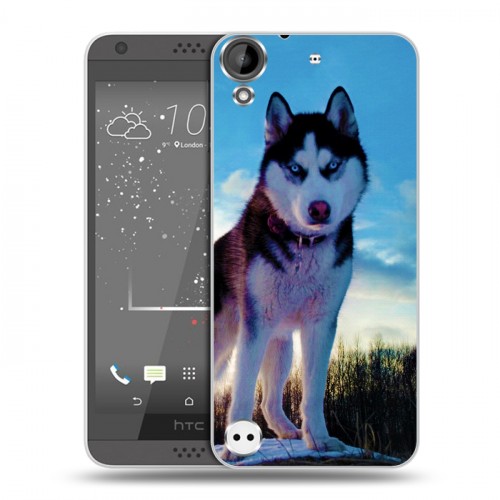 Дизайнерский пластиковый чехол для HTC Desire 530 Собаки