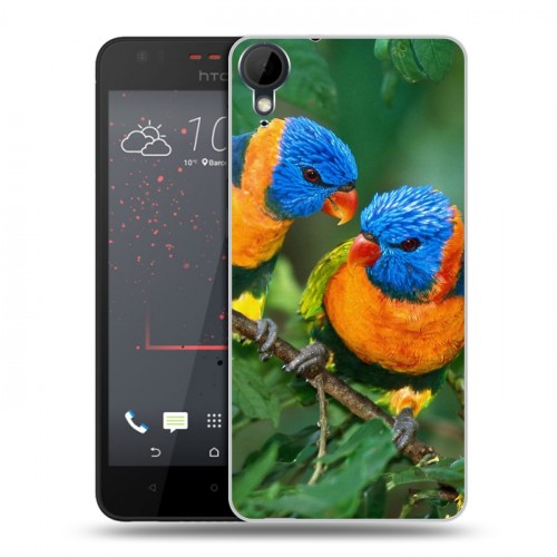 Дизайнерский пластиковый чехол для HTC Desire 825 Попугаи