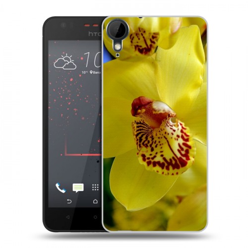 Дизайнерский пластиковый чехол для HTC Desire 825 Орхидеи
