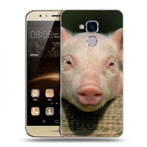 Дизайнерский пластиковый чехол для Huawei Honor 5C Свинки