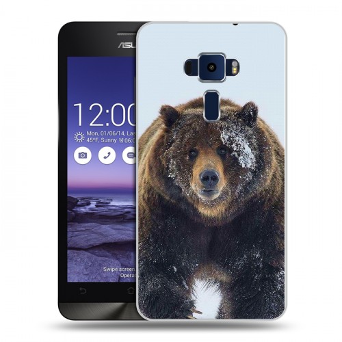 Дизайнерский пластиковый чехол для Asus ZenFone 3 5.2 Медведь