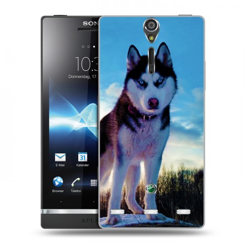 Дизайнерский пластиковый чехол для Sony Xperia S Собаки