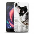 Дизайнерский пластиковый чехол для HTC Desire 10 Lifestyle Собаки
