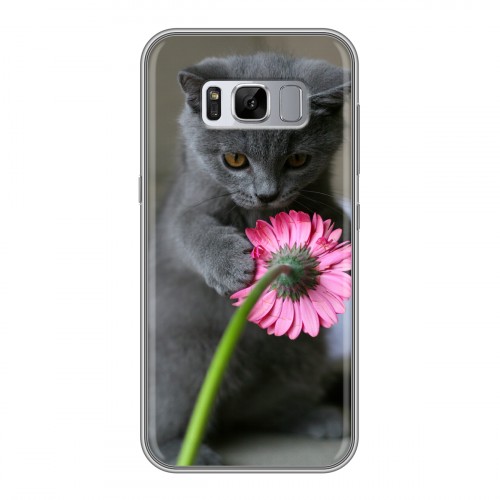 Дизайнерский силиконовый чехол для Samsung Galaxy S8 Plus Котята