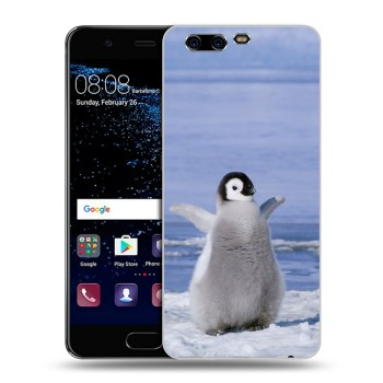 Дизайнерский силиконовый чехол для Huawei P10 Plus Пингвины (на заказ)