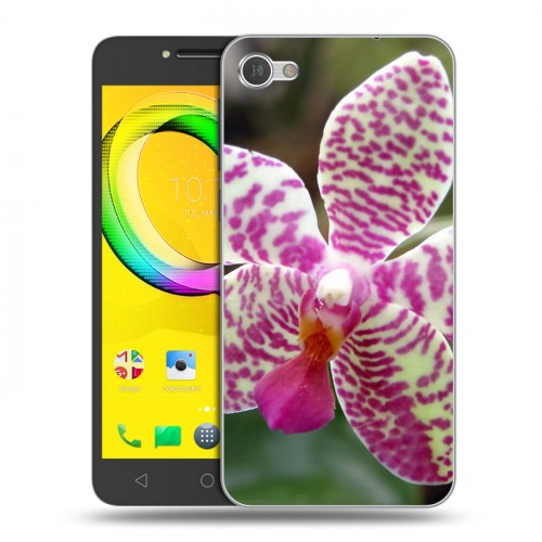 Дизайнерский силиконовый чехол для Alcatel A5 LED Орхидеи