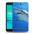 Дизайнерский пластиковый чехол для ASUS ZenFone Go ZB690KG Акулы
