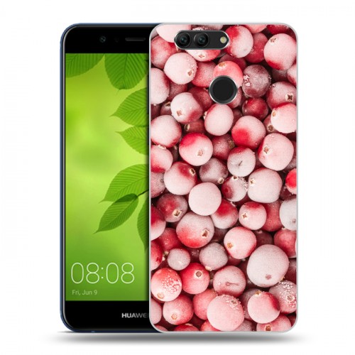 Дизайнерский пластиковый чехол для Huawei Nova 2 Plus Ягоды