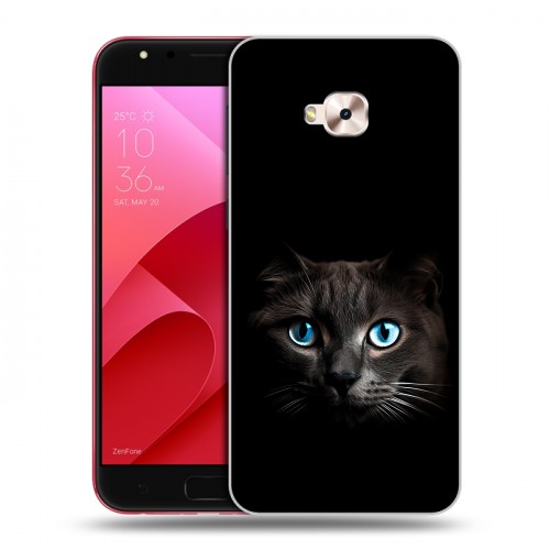 Дизайнерский пластиковый чехол для ASUS ZenFone 4 Selfie Pro Кот в темноте