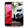 Дизайнерский пластиковый чехол для ASUS ZenFone 4 Selfie Pro Панды