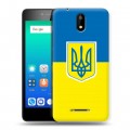 Дизайнерский силиконовый чехол для Micromax Q409 Флаг Украины