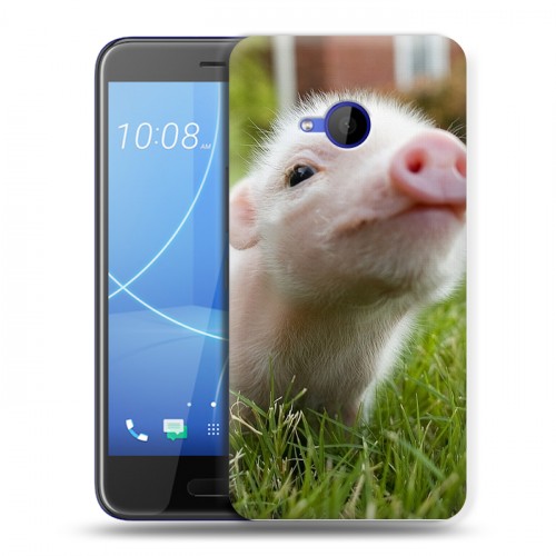 Дизайнерский пластиковый чехол для HTC U11 Life Свинки