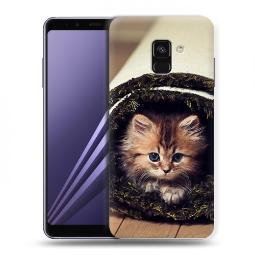 Дизайнерский пластиковый чехол для Samsung Galaxy A8 (2018) Кошки