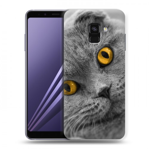 Дизайнерский пластиковый чехол для Samsung Galaxy A8 (2018) Кошки