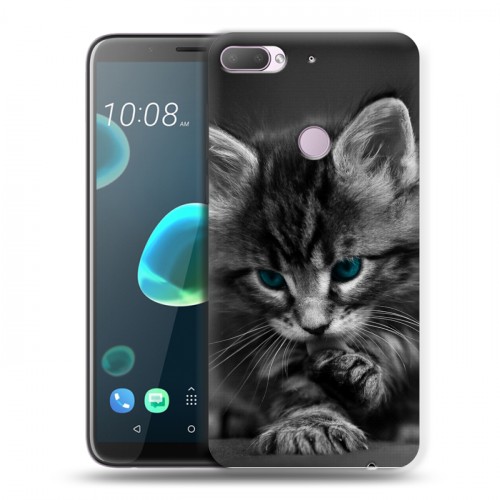 Дизайнерский пластиковый чехол для HTC Desire 12 Plus Котята
