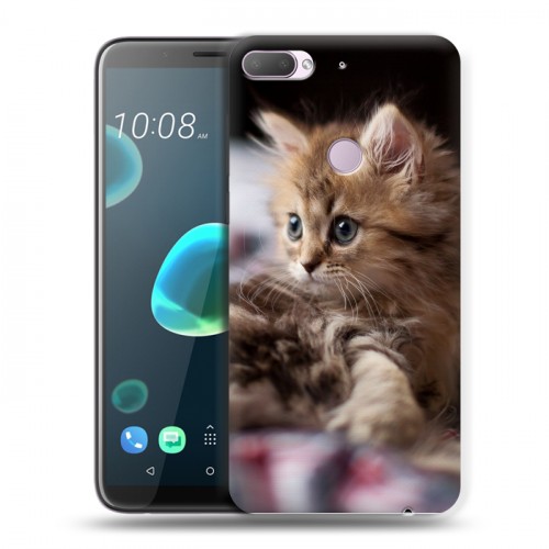 Дизайнерский пластиковый чехол для HTC Desire 12 Plus Котята