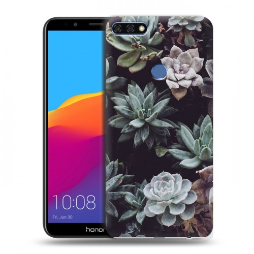Дизайнерский пластиковый чехол для Huawei Honor 7C Pro Нуарные листья
