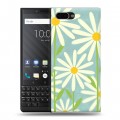 Дизайнерский пластиковый чехол для BlackBerry KEY2 Романтик цветы