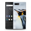 Дизайнерский пластиковый чехол для BlackBerry KEY2 Пингвины