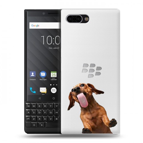 Дизайнерский пластиковый чехол для BlackBerry KEY2 Мятные звери