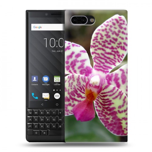 Дизайнерский пластиковый чехол для BlackBerry KEY2 Орхидеи
