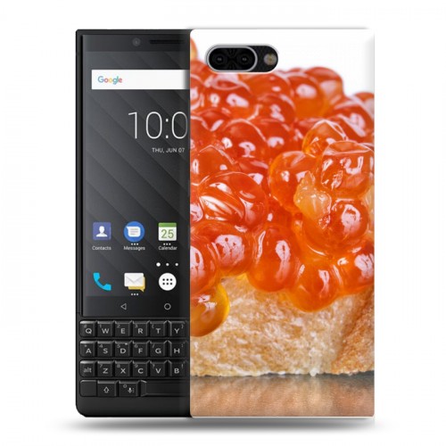 Дизайнерский пластиковый чехол для BlackBerry KEY2 Икра