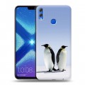 Дизайнерский силиконовый чехол для Huawei Honor 8X Пингвины