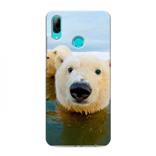 Дизайнерский пластиковый чехол для Huawei Y7 (2019) Медведи