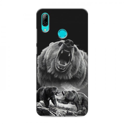 Дизайнерский пластиковый чехол для Huawei Y7 (2019) Схватка медведей