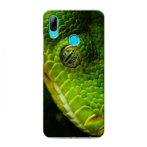 Дизайнерский пластиковый чехол для Huawei Y7 (2019) Змеи